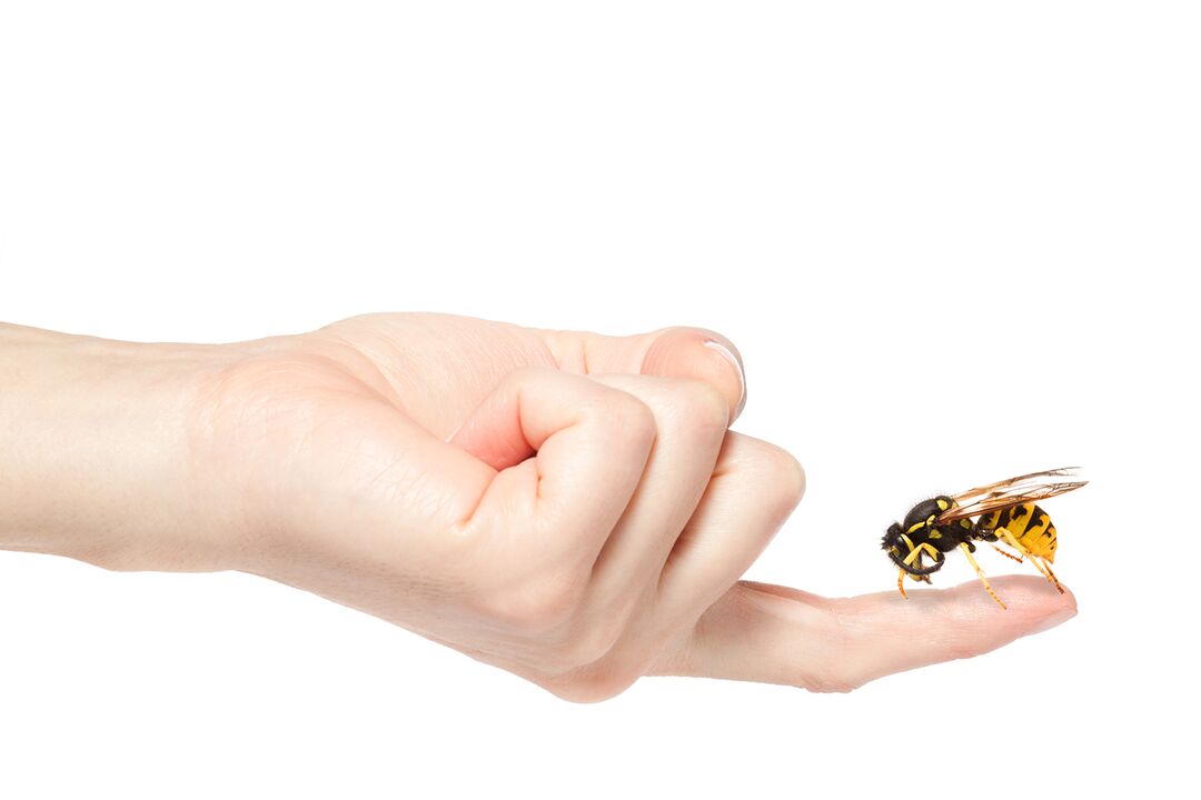 Terapia con apitoxina para agrandar el pene.