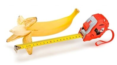 El tamaño normal del pene es de 13 a 17 cm.